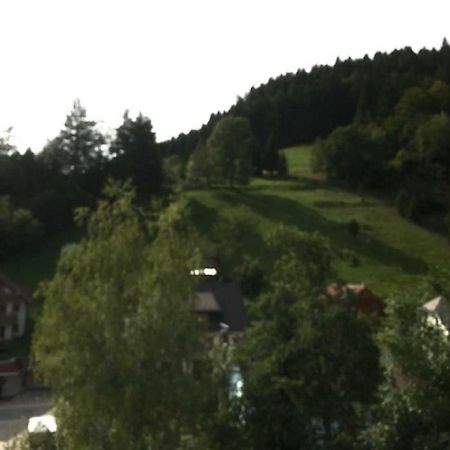 FeWo Schmitt Haus Enere Au Todtmoos Exterior foto