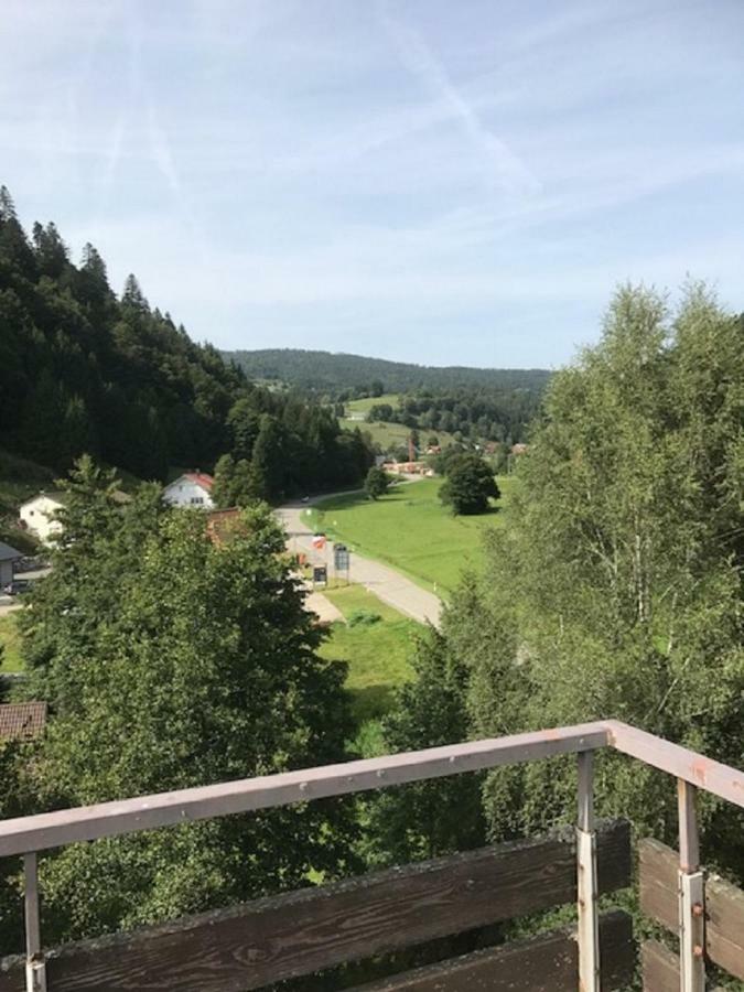 FeWo Schmitt Haus Enere Au Todtmoos Exterior foto