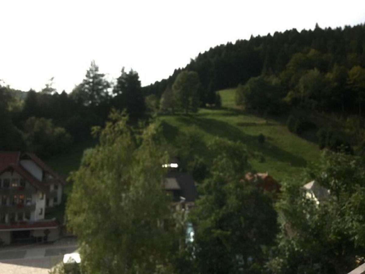 FeWo Schmitt Haus Enere Au Todtmoos Exterior foto