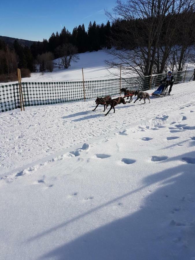 FeWo Schmitt Haus Enere Au Todtmoos Exterior foto