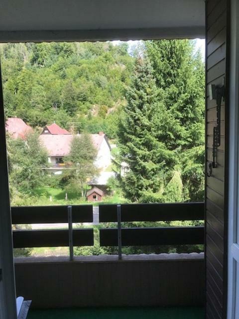 FeWo Schmitt Haus Enere Au Todtmoos Exterior foto
